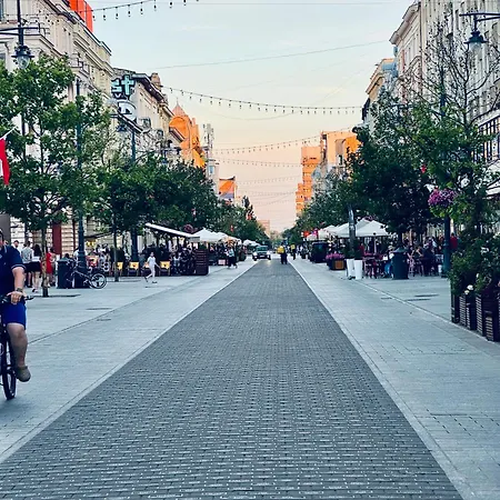 Piotrkowska 117 3* وودج